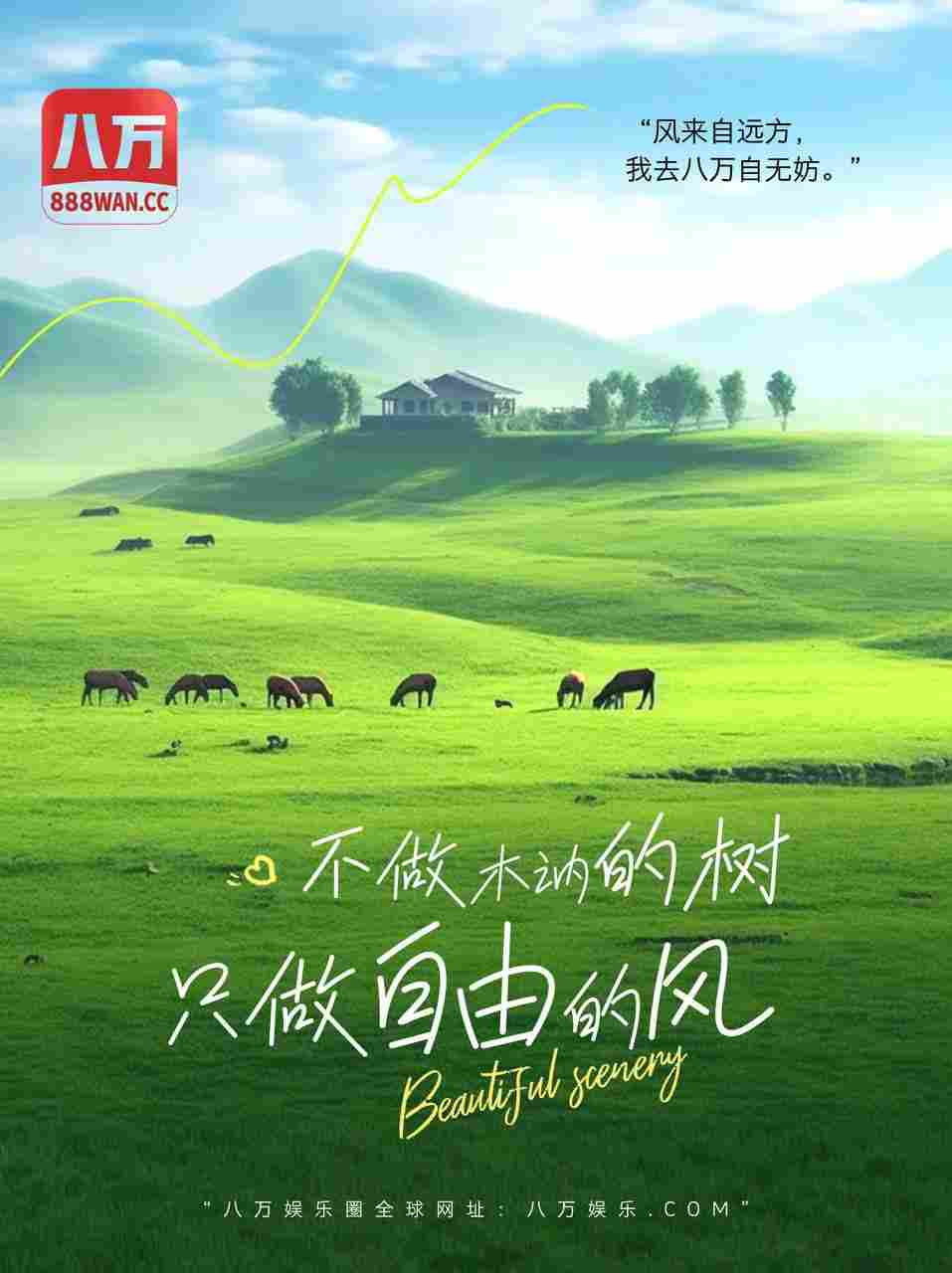 欢迎